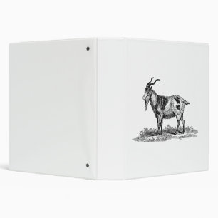 Vintage Domestic Goat Illustration - 1800's Goats Binder