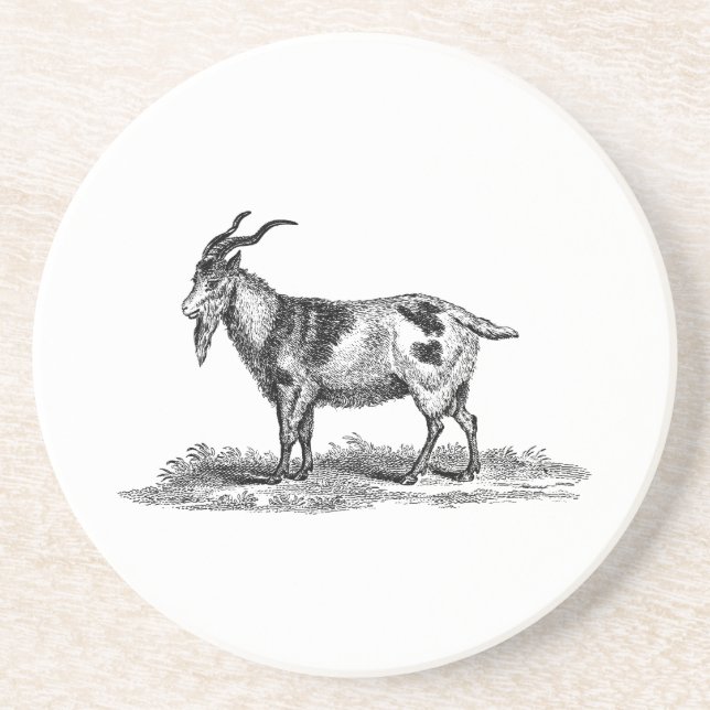 Vintage Domestic Goat Illustration - 1800's Goats Coaster (Front)