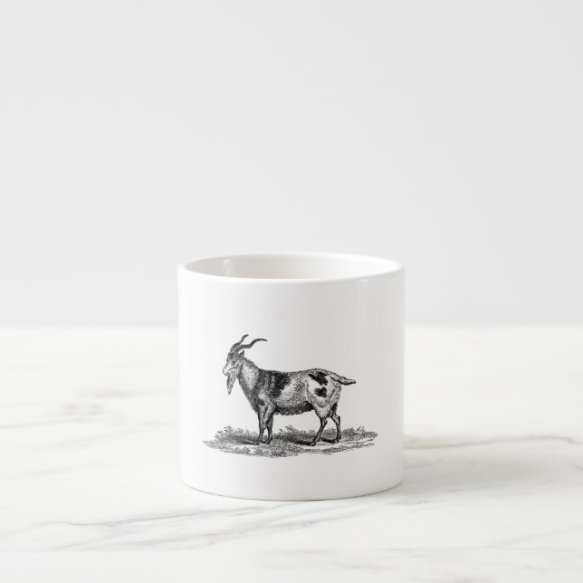 Vintage Domestic Goat Illustration - 1800's Goats Espresso Cup (Front)