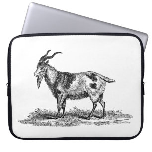 Vintage Domestic Goat Illustration - 1800's Goats Laptop Sleeve