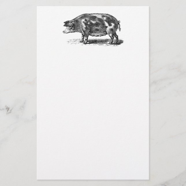 Vintage Domestic Hog Illustration - 1800's Pig Stationery (Front)