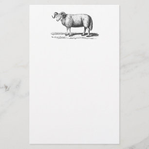 Vintage Domestic Sheep Illustration - 1800's Ram Stationery