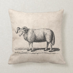 Vintage Domestic Sheep Illustration - 1800's Ram Throw Pillow