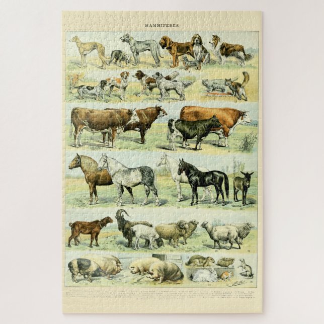 Vintage Domesticated Animals by Adolphe Millot Jigsaw Puzzle (Vertical)