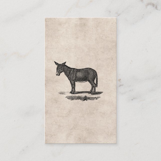 Vintage Donkey Illustration - 1800's Donkeys Business Card (Front)