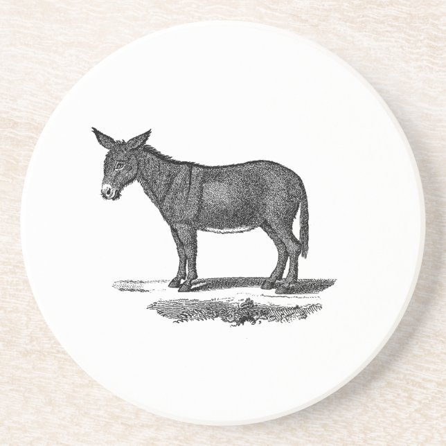 Vintage Donkey Illustration - 1800's Donkeys Coaster (Front)