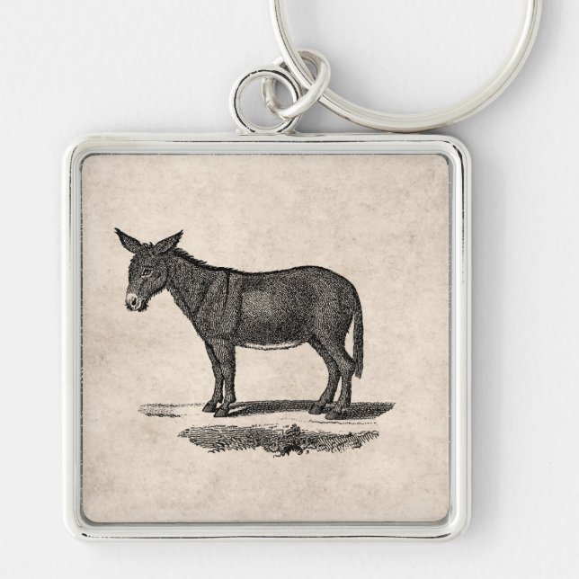 Vintage Donkey Illustration - 1800's Donkeys Keychain (Front)