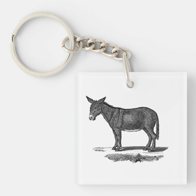 Vintage Donkey Illustration - 1800's Donkeys Keychain (Front)