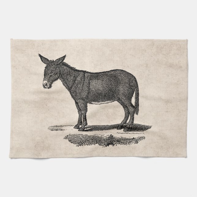 Vintage Donkey Illustration - 1800's Donkeys Kitchen Towel (Horizontal)