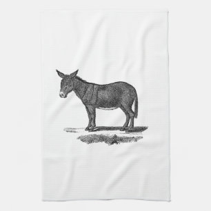Vintage Donkey Illustration - 1800's Donkeys Kitchen Towel