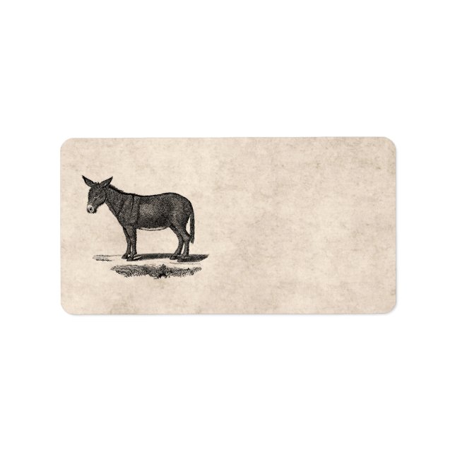 Vintage Donkey Illustration - 1800's Donkeys Label (Front)