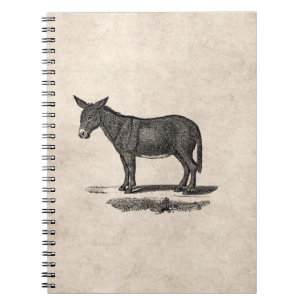 Vintage Donkey Illustration - 1800's Donkeys Notebook