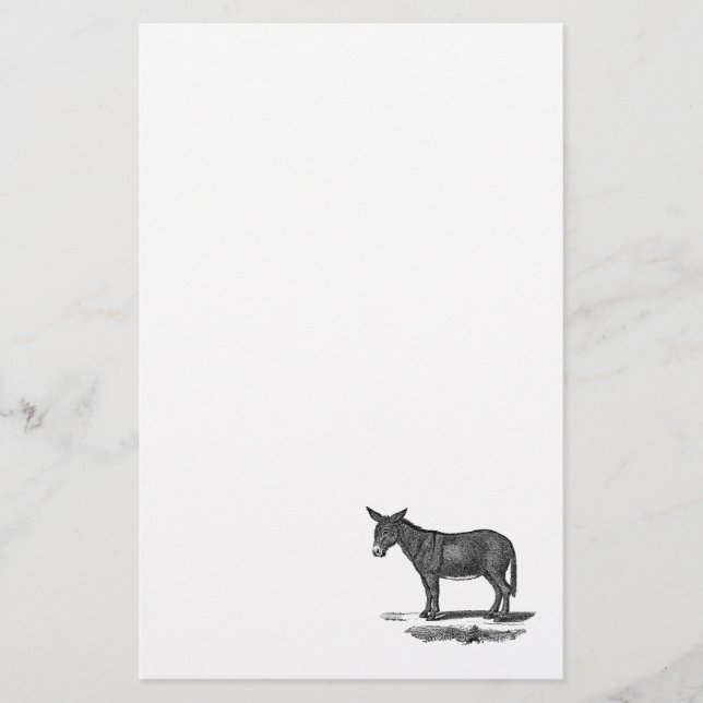 Vintage Donkey Illustration - 1800's Donkeys Stationery (Front)