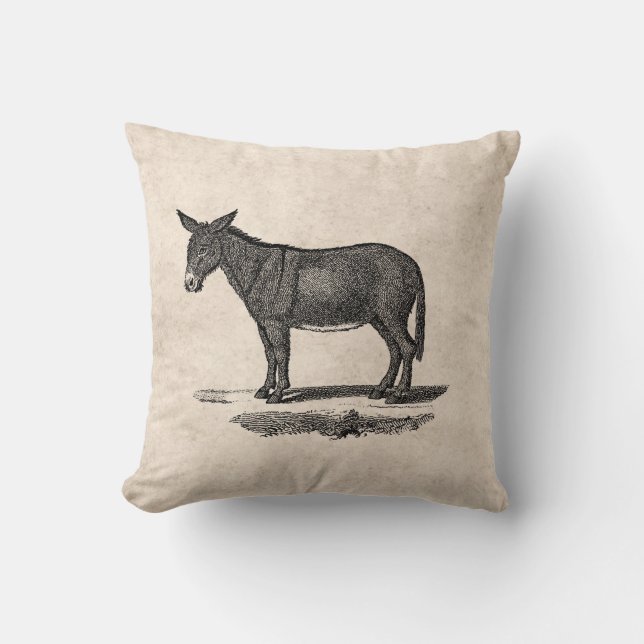 Vintage Donkey Illustration - 1800's Donkeys Throw Pillow (Front)