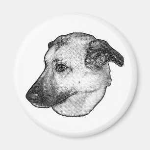 Vintage Dots, Dog Magnet