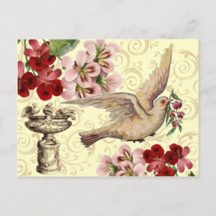 Vintage Dove & Birdbath Postcard