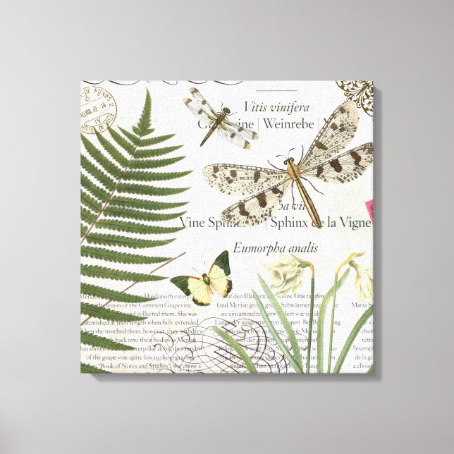 Vintage Dragonflies stretched canvas Print (Front)
