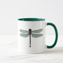 Vintage Dragonfly Antique Damselfly Green Wings