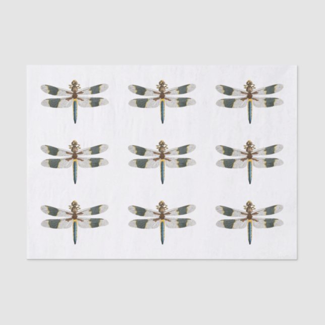 Vintage Dragonfly Art Tissue Paper Gift Wrapping (Front)