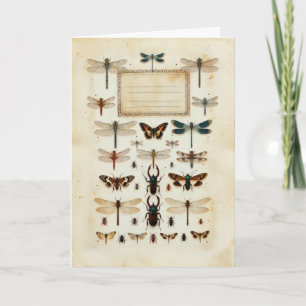 Vintage Dragonfly Beetle Taxonomy Specimen Chart Card