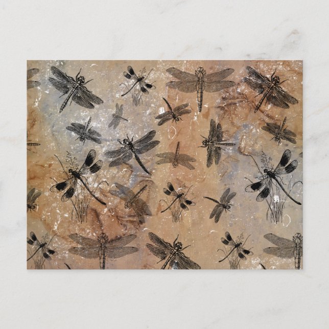 Vintage Dragonfly Distressed Entomology Pattern  Holiday Postcard (Front)