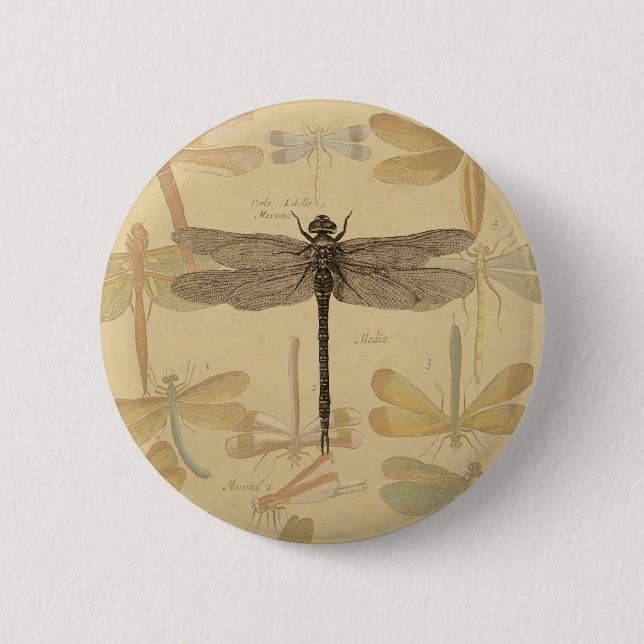 Vintage dragonfly drawing 2 inch round button (Front)