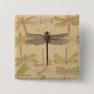 Vintage dragonfly drawing 2 inch square button