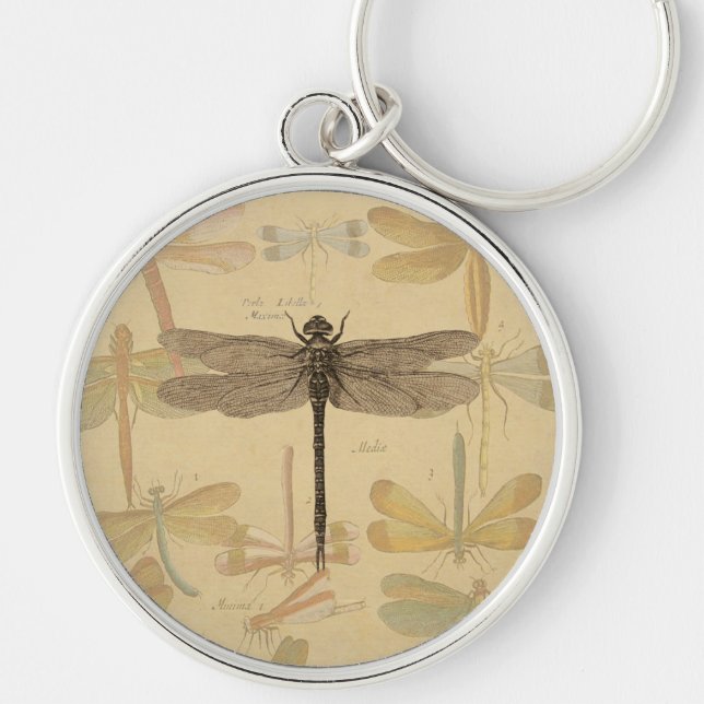 Vintage dragonfly drawing keychain (Front)