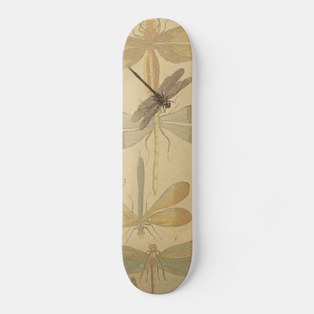 Vintage dragonfly drawing skateboard (Front)