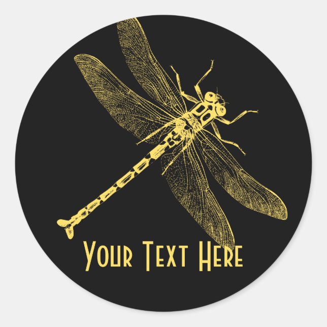 Vintage Dragonfly Illustration II Personalized Classic Round Sticker (Front)