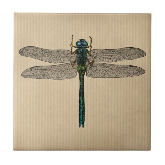Vintage Dragonfly Illustration Tile