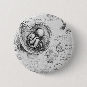 Vintage drawing of a fetus in the uterus 1 2 inch round button