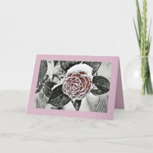 Vintage Drawing of Snowed Frozen Blush Rose Card
