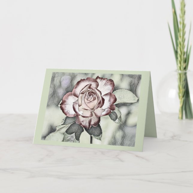 Vintage Drawing of White, blush, red rose  Card (Front)