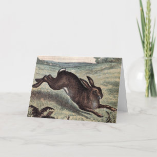 Vintage Drawing: Running Hare in a Field Card