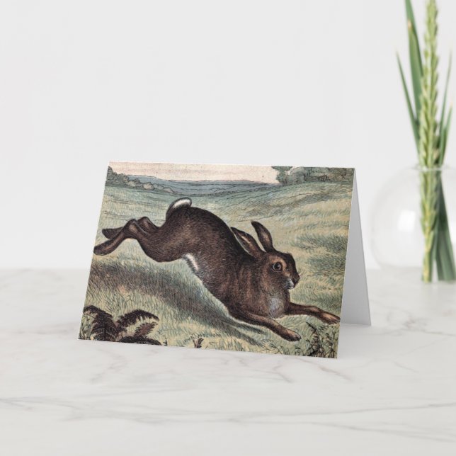 Vintage Drawing: Running Hare in a Field Card (Front)