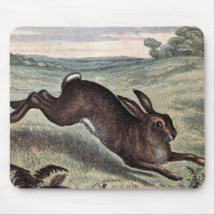 Vintage Drawing: Running Hare in a Field Mouse Pad