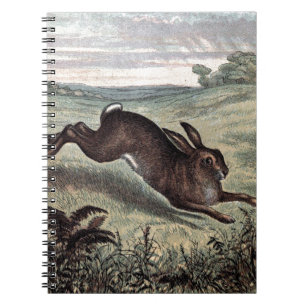 Vintage Drawing: Running Hare in a Field Notebook