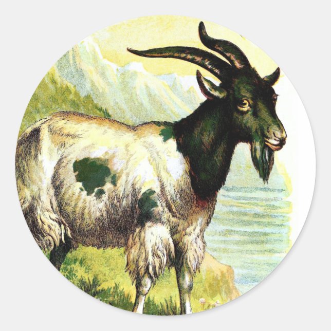 Vintage Drawing: The Alpine Goat Classic Round Sticker (Front)