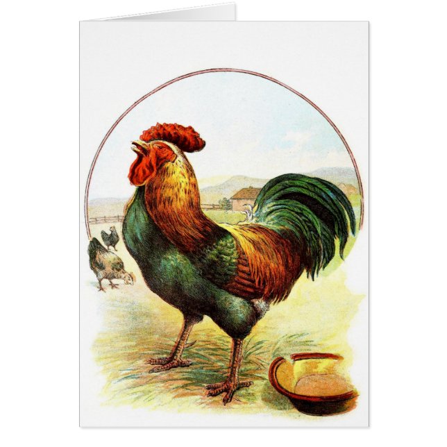 Vintage Drawing: The Rooster (Front)
