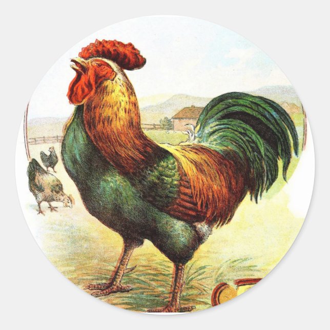 Vintage Drawing: The Rooster Classic Round Sticker (Front)