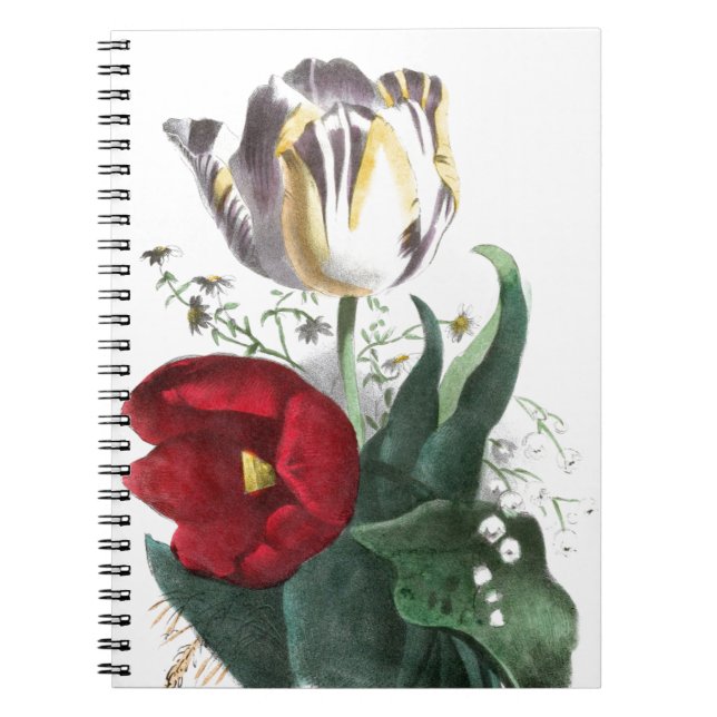 Vintage Drawing: Tulips Notebook (Front)