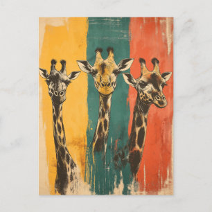 Vintage Drei Giraffen auf  Postcard