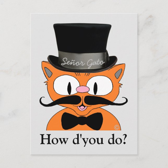 Vintage Dressed Cartoon Moustache Cat Friendship Postcard (Front)