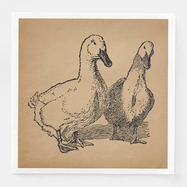 Vintage Duck Art Two Ducks Illustration Napkin (Front)