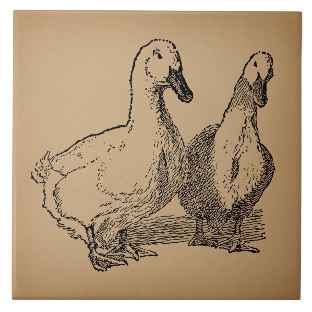 Vintage Duck Art Two Ducks Illustration Tile (Front)