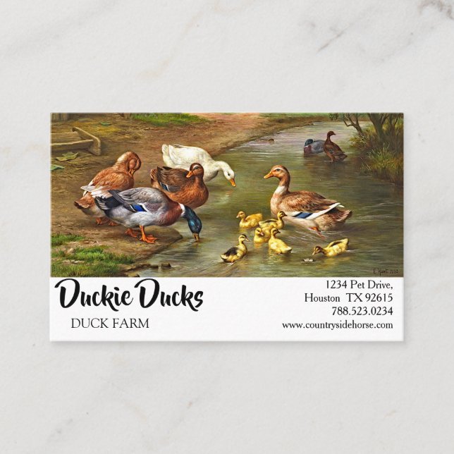 Vintage Ducks And Ducklings Farm Animals Business Card (Front)