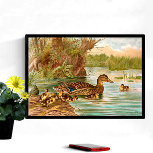Vintage Ducks At The Pond 2 Poster