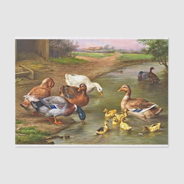 Vintage Ducks Ducklings Farm Animals Tissue Paper (Front)