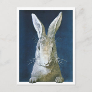 Vintage Easter Bunny, Cute Furry White Rabbit Holiday Postcard